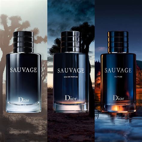 sauvage de dior sephora|dior sauvage 200ml best price.